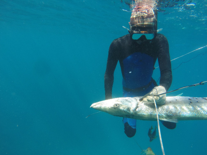 A photo of a snorkeler swimming in the blue ocean with a light colored fish placed in front of the person.