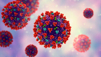 detecting fake news assignment vaccines answers An illustration of COVID-19 particles