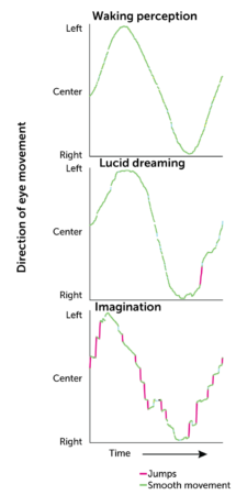 three graphs show the direction of eye movement during waking perception, lucid dreaming and imagination