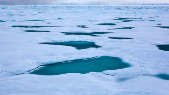 Small patches of open water and thin ice cover the Fram Strait, which lies between Greenland and Norway’s Svalbard archipelago.