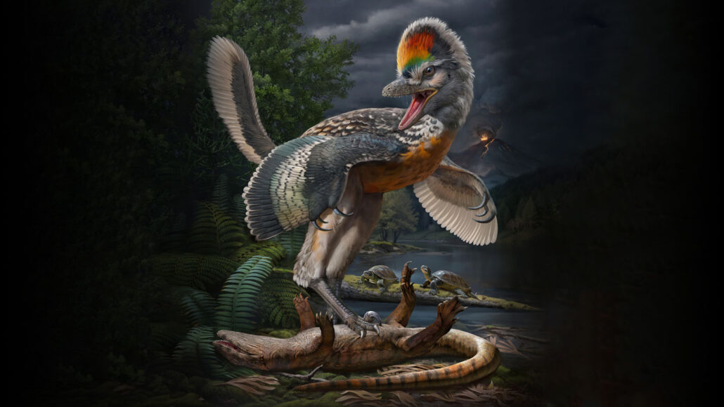 dinobird illustration