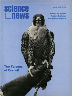 cover of the September 8, 1973 of Science News