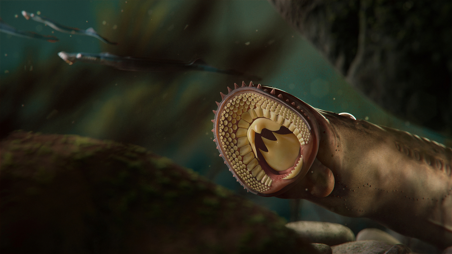 Newfound fossil species of lamprey were flesh eaters