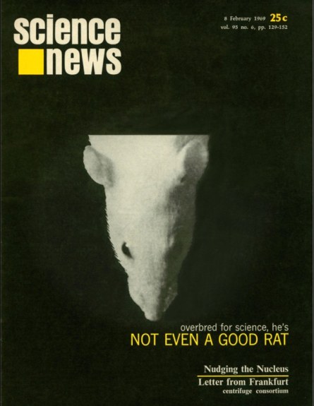 Science News cover from February 8, 1969