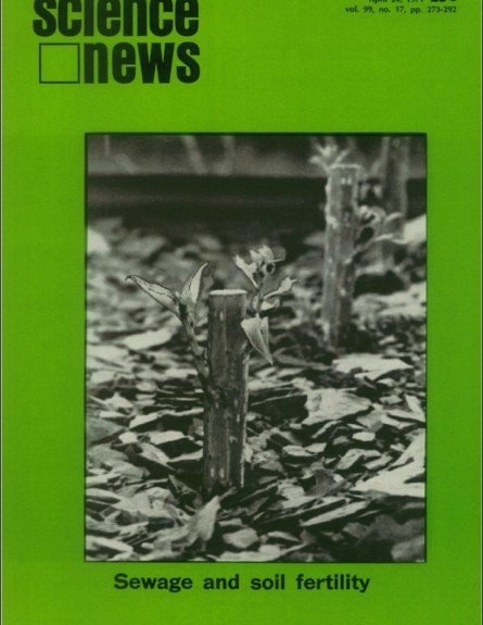 cover of the April 24, 1971 issue