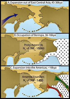 Maps labeled A, B, and C depict each phase of the new three-step colonization model for the peopling of the Americas. Light-brown areas are exposed seafloor and dark-brown areas are current land. The phrase kya indicates thousands of years. Amerinds are early Americans.