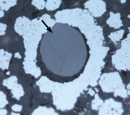 Chemical biomarkers in 2.7-billion-year-old Australian rocks, once thought to be the oldest known evidence of complex life on Earth, may have infiltrated long after the sediments were laid down, new analyses suggest.