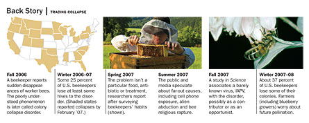 Back Story : Tracing Collapse