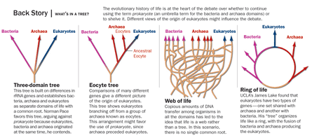 Click to view a larger version of the diagram.