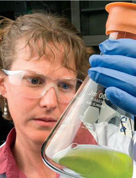A researcher examining a sample of algal oil.