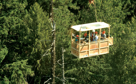 Recent monitoring (from a gondola in Washington state, shown) reveals that rates of tree death are up. Credit: Univ. of Washington
