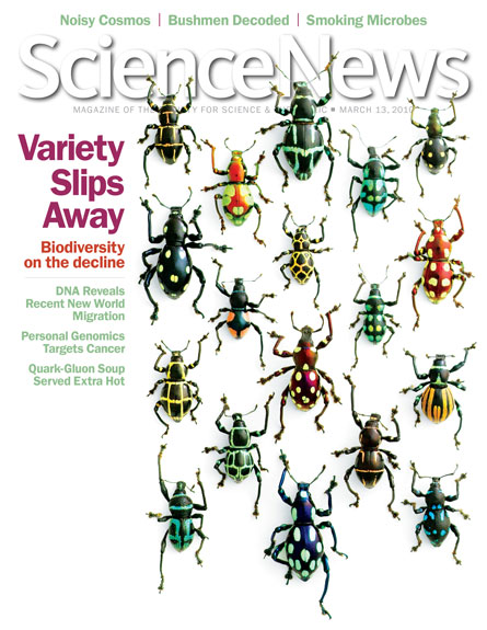 Variety slips away: Biodiversity on the decline