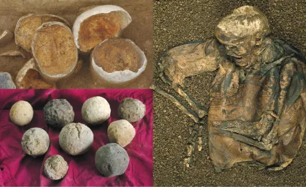 Evidence of past violent attacks