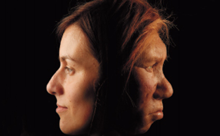 Modern human female's face mirrored by female neandertal face.