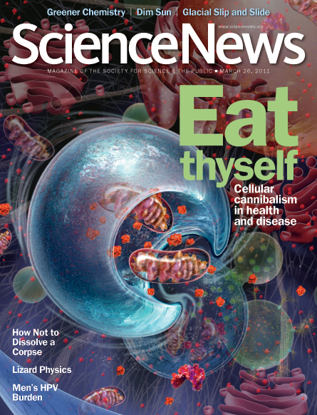 March 26, 2011 | Science News