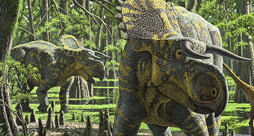 Dinosaur had impressive schnoz