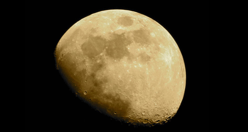 mr_moondust_feat_free.jpg?w=330