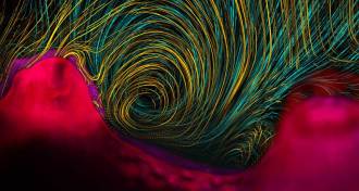 2013 Visualization Challenge photography winner