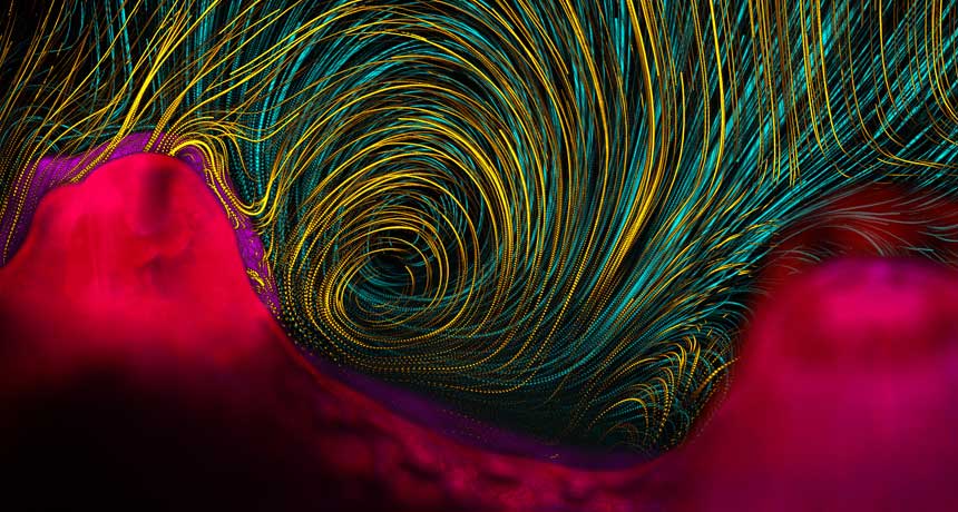 2013 Visualization Challenge photography winner