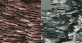 design for more durable ceramics