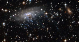 Galaxy ESO 137-011