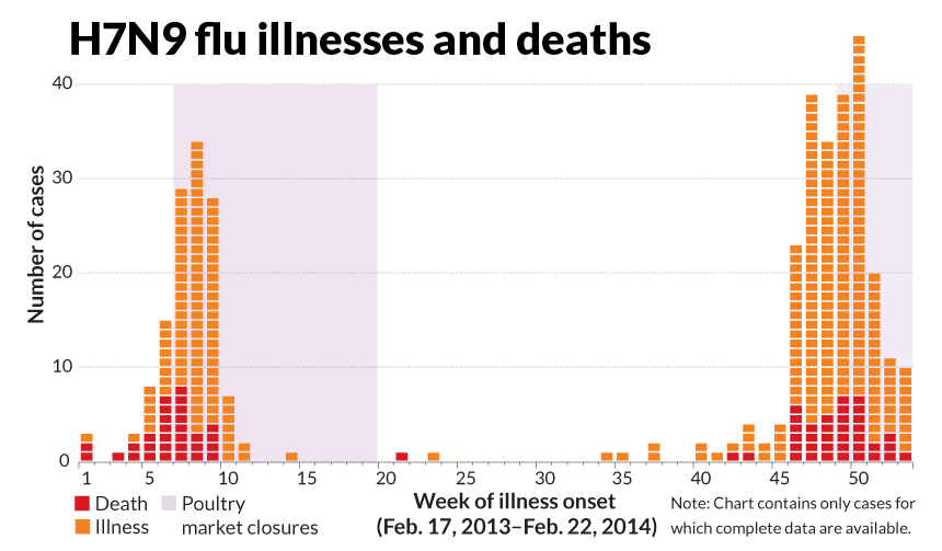 Second wave of bird flu ups pandemic worries