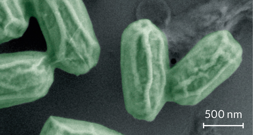 notebook_itroducing.jpg?w=330