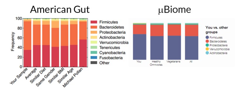 Here’s the poop on getting your gut microbiome analyzed | Science News