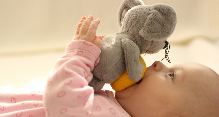 baby with a soft toy