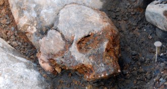 skull of ancient woman