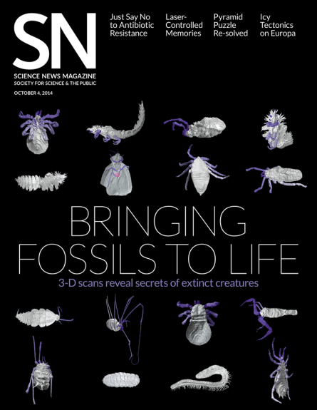cover of the October 4 Science News