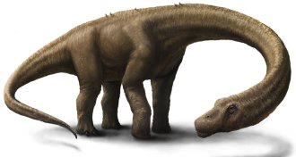 Dreadnoughtus schrani illustration