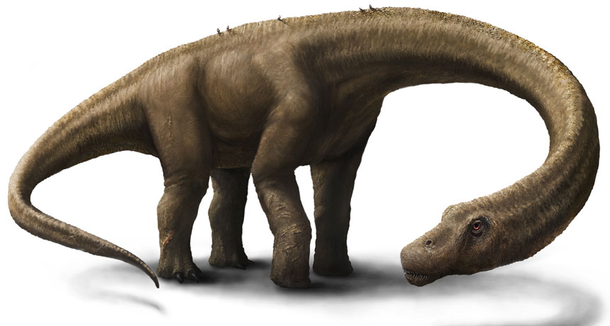 Dreadnoughtus schrani illustration