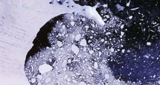 satellite image of Larsen B ice shelf in Antarctica