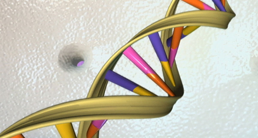 illustration of DNA double helix