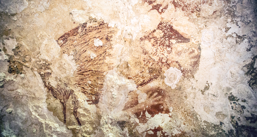 ancient rock art drawing of a babirusa, or deer-pig