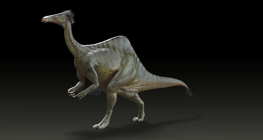 ostrichlike dinosaur drawing