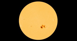 Huge sunspot