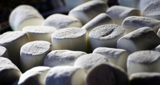 marshmallows