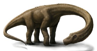 Dreadnoughtus schrani