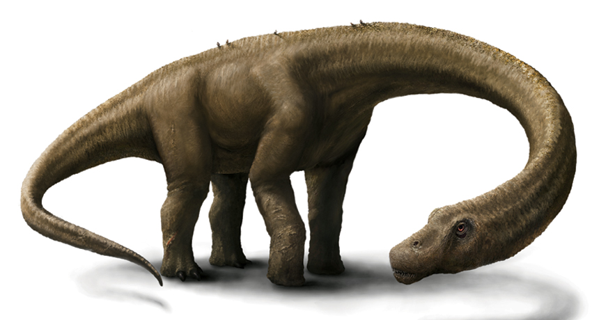 Dreadnoughtus schrani