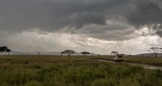 the Serengeti in Tanzania