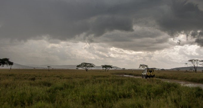 the Serengeti in Tanzania