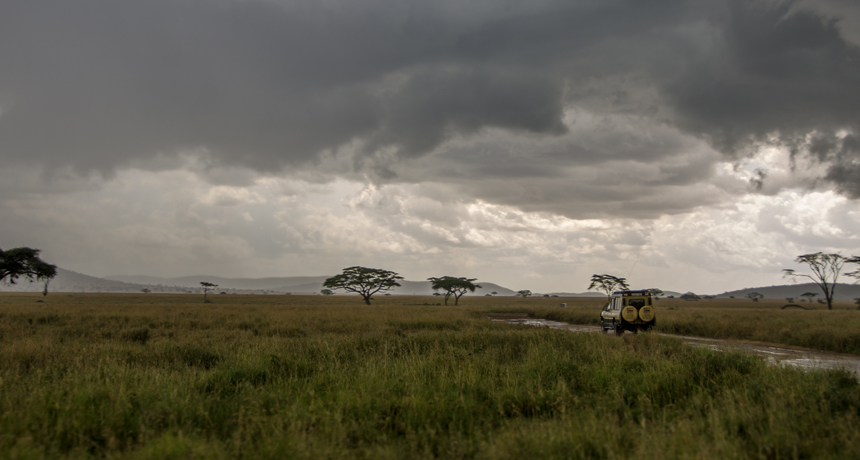 the Serengeti in Tanzania