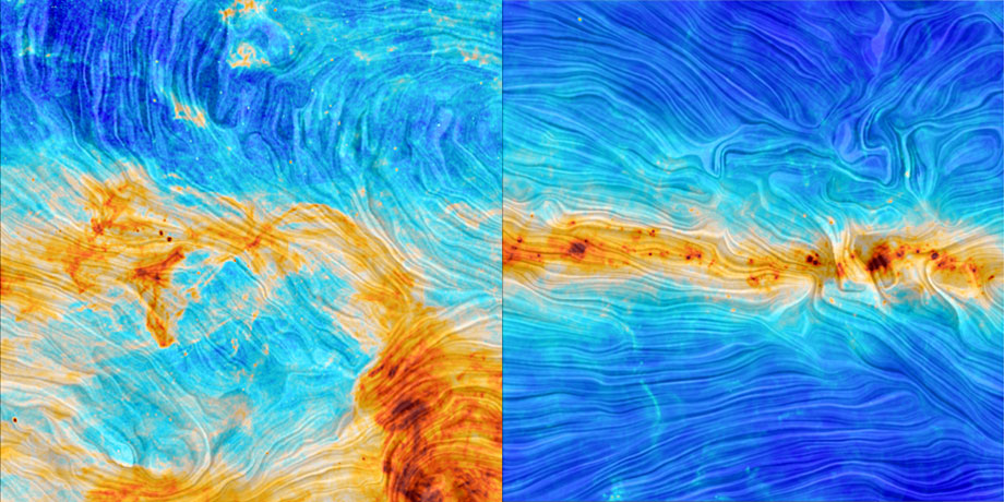 Polarized light in the Milky Way