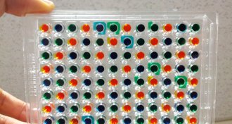 plastic chip with dozens of little wells