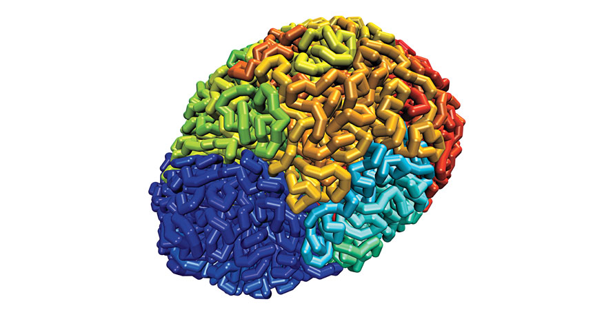 stretch of 5 million DNA bases