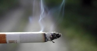 smoldering cigarette