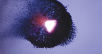 image of laser hitting ink drop