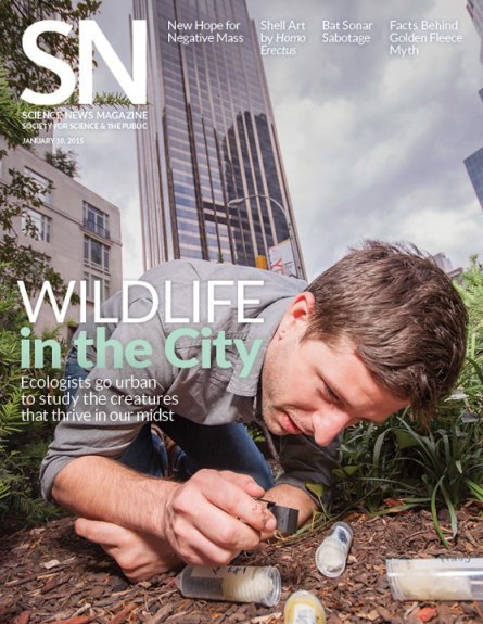 cover of the January 10, 2015 issue